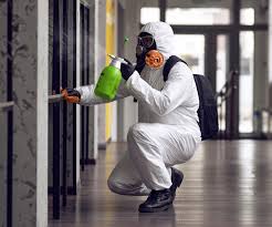 Why You Should Choose Our Mold Remediation Services in Krebs, OK